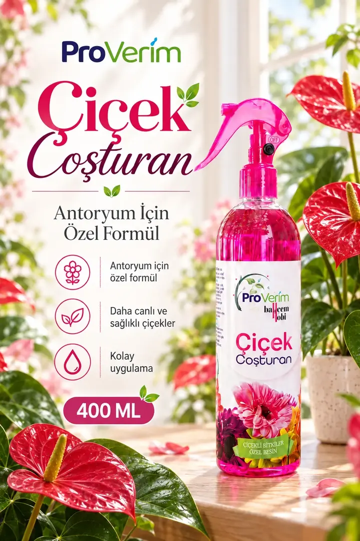 Antoryum ve Çiçek Coşturan